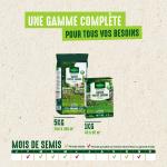 Vert toutes saisons - Pelouse verte toutes saisons - 1 kg - image
